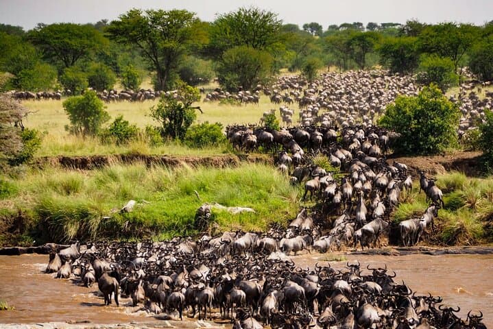 5-Day Private Tanzania Safari: Tarangire, Serengeti & Ngorongoro Highlights photo 5