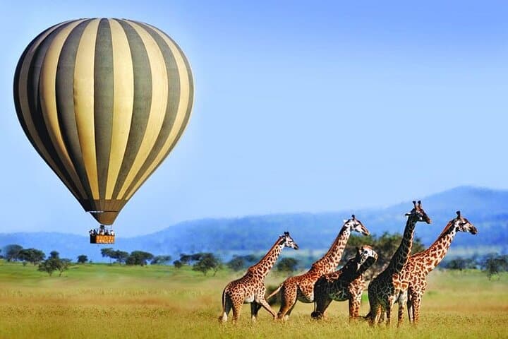 5-Day Private Tanzania Safari: Tarangire, Serengeti & Ngorongoro Highlights photo 6