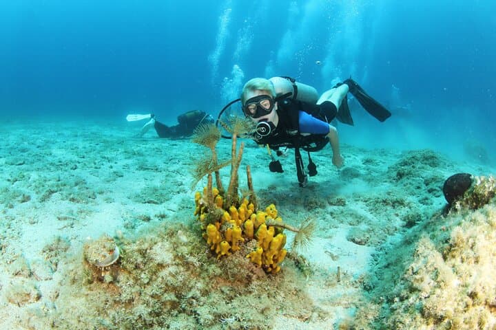 Chania Snorkel & Beginner Scuba Boat Trip — Blue Cave and Open Water Dive