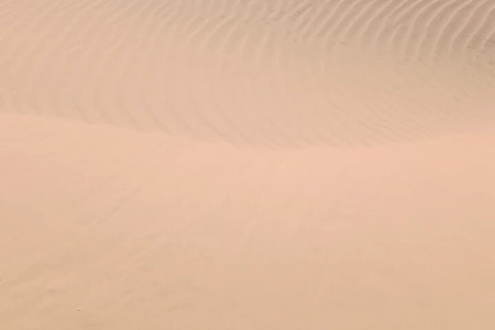 Overnight Camel Safari in Jaisalmer: Private Sand-Dune Camp Experience photo 4