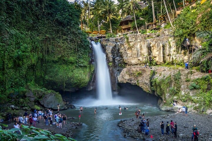 Best of Ubud One-Day Private Tour: Monkey Forest, Rice Terrace & Waterfall photo 2