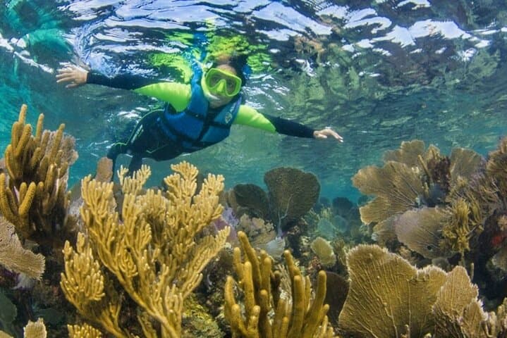Speedboat Through Cancun Mangroves, Snorkel Punta Nizuc & 325ft Parasail photo 4