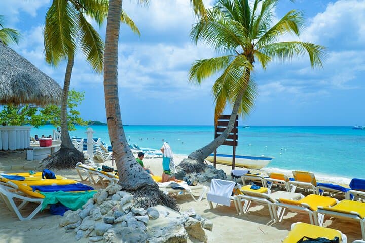 Catalina Island Day Trip: Snorkel Pristine Reefs from La Romana photo 2