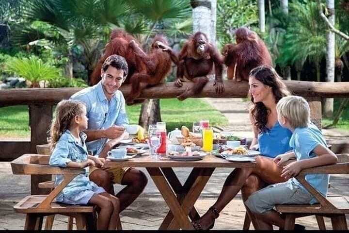 Breakfast with Orangutan and Ubud Day Tour — Kintamani, Coffee & Temple Visit