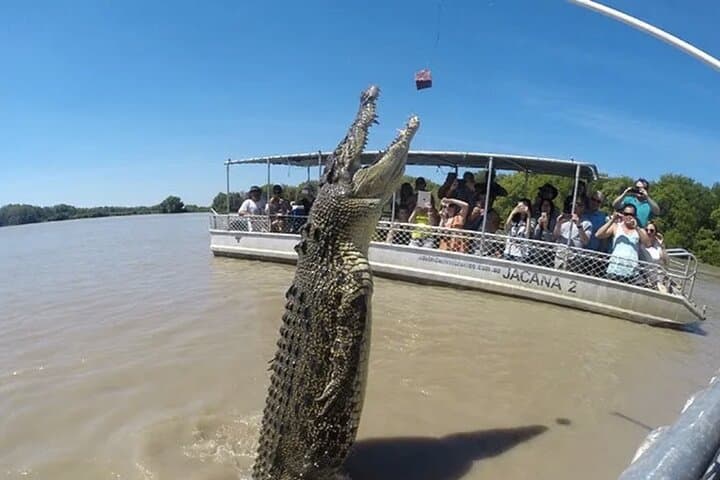 Adelaide River Jumping Crocodile Cruise from Darwin — Half-Day Croc Bus Adventure