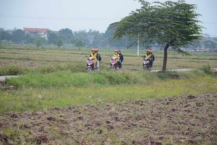 Hanoi Countryside Motorbike Tour Led by Women — Long Bien, Co Loa & Village Crafts photo 5