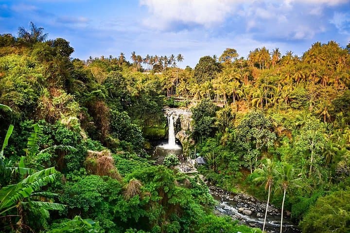 Full-Day Ubud Village Highlights: Tegenungan, Tirta Empul & Tegalalang Rice Terraces photo 1