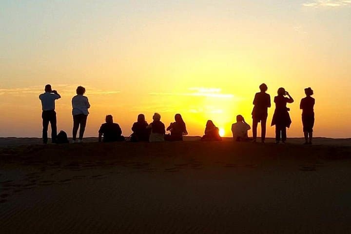 Wahiba Sands Desert Day Tour from Muscat: Dunes, Camels & Wadi Bani Khalid