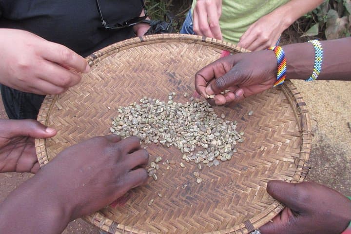 Materuni Waterfalls and Coffee Tour: Hiking the Kilimanjaro Foothills from Moshi photo 3