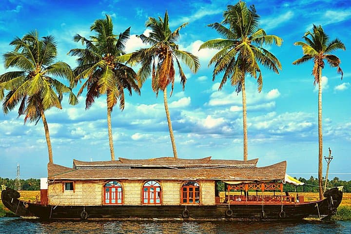 Luxury Kerala Houseboat & Backwaters Tour from Mumbai — Private 3-Day Experience photo 4
