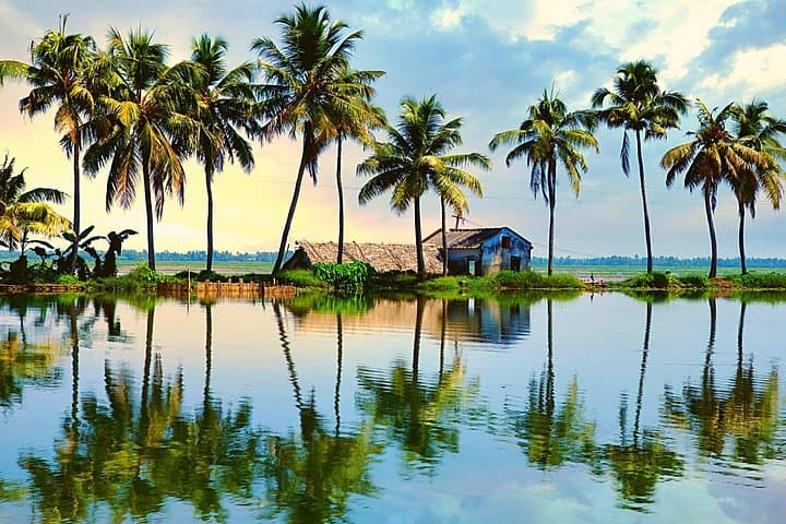 Luxury Kerala Houseboat & Backwaters Tour from Mumbai — Private 3-Day Experience photo 5