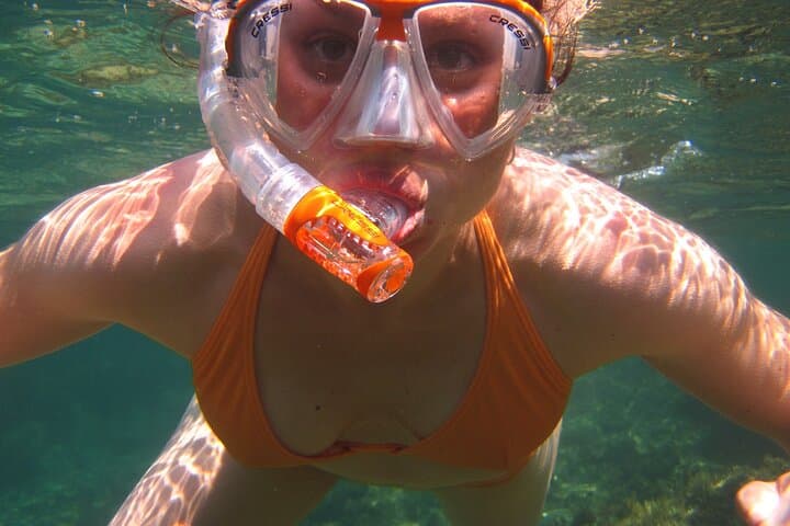 Exploring Sombrero Reef: A 3-Hour Snorkeling Adventure from Marathon Key photo 6