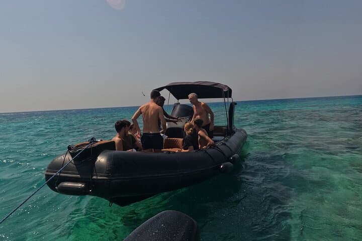 Hurghada Speedboat Dolphin Watching & Red Sea Snorkeling Cruise photo 6
