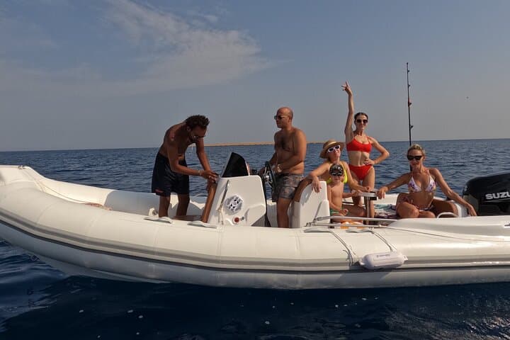 Hurghada Speedboat Dolphin Watching & Red Sea Snorkeling Cruise photo 4