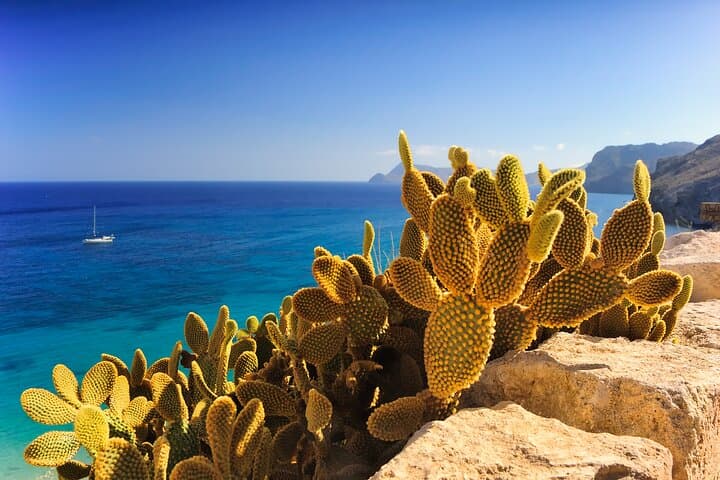 Secrets of Ibiza: 8-Hour Private Island Car Tour to Es Vedrà, Ses Salines & Hidden Beaches photo 6