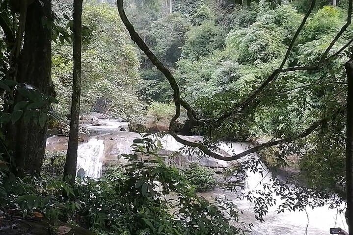 Private Full-Day Doi Inthanon National Park Tour from Chiang Mai photo 2