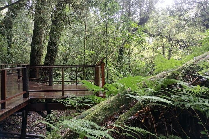 Private Full-Day Doi Inthanon National Park Tour from Chiang Mai photo 3