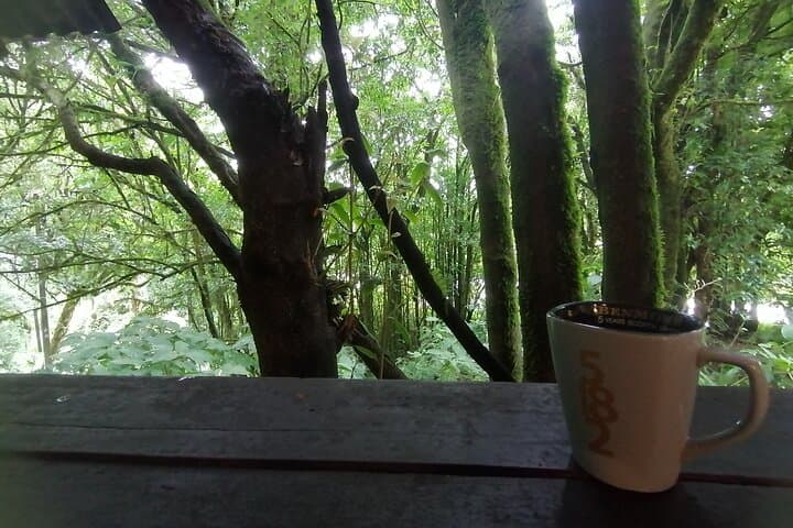 Private Full-Day Doi Inthanon National Park Tour from Chiang Mai photo 6