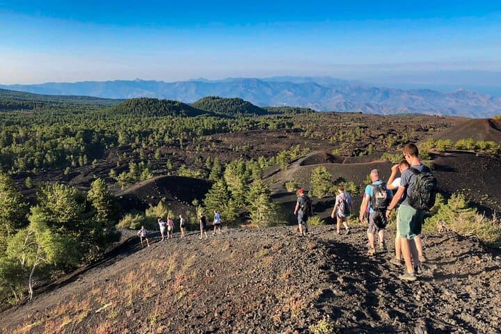 Private Etna Tour with Wine Tasting: Silvestri Craters & Gambino Winery photo 1