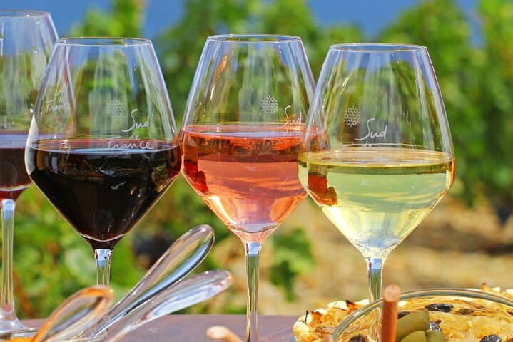 Half-Day Provence Organic Wine Tasting from Nice — Saint-Jeannet & Saint-Paul-de-Vence photo 2