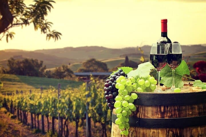 Half-Day Provence Organic Wine Tasting from Nice — Saint-Jeannet & Saint-Paul-de-Vence photo 3