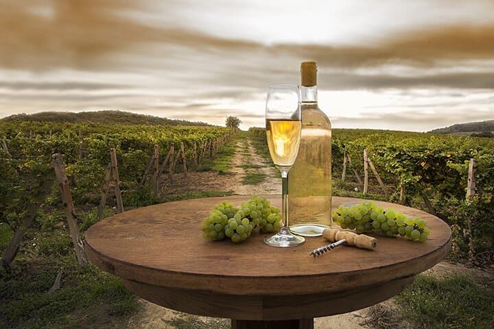 Half-Day Provence Organic Wine Tasting from Nice — Saint-Jeannet & Saint-Paul-de-Vence photo 4