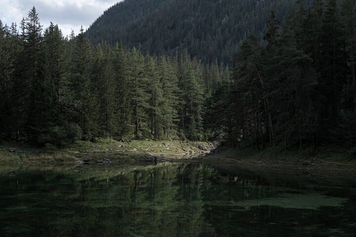 Gruner See Private Tour: Explore Austria's Emerald Mountain Lake photo 5