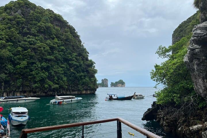 Phi Phi Speedboat: Viking Cave, Monkey Beach & Khai Island Day Tour from Phuket photo 4