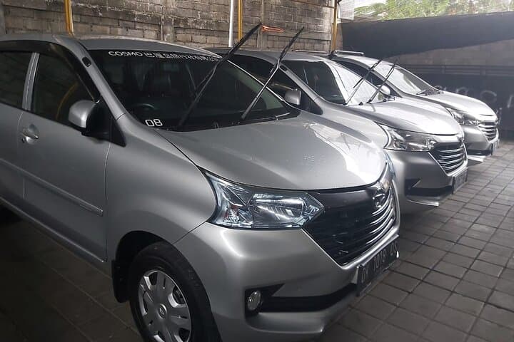 Bali Private Car Charter — 10-Hour Private Car & English Driver photo 4