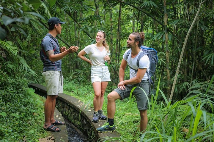 Bali Village Trek from Ubud — Pakerisan River Valley Cultural Walk photo 4