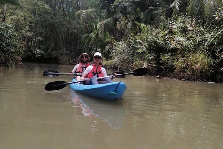 Close-Up Monkey Kayak Tour — 2-Hour Mangrove & Wildlife Paddle in Quepos photo 3