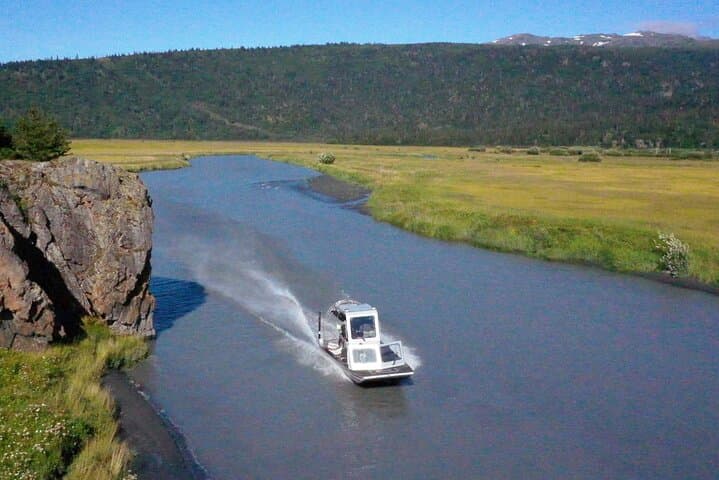 Kachemak Bay Airboat Tour from Homer — Explore Tidal Flats and River Channels photo 4