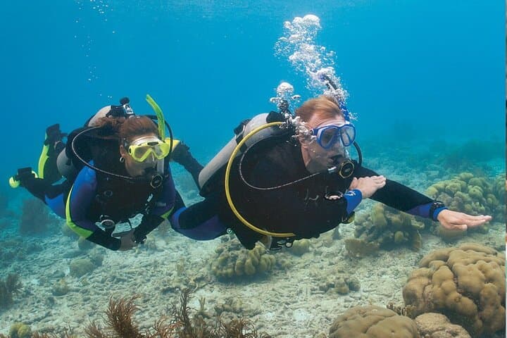 Learn to Dive: 4-Day PADI Open Water Course Off Jumeirah Beach photo 3