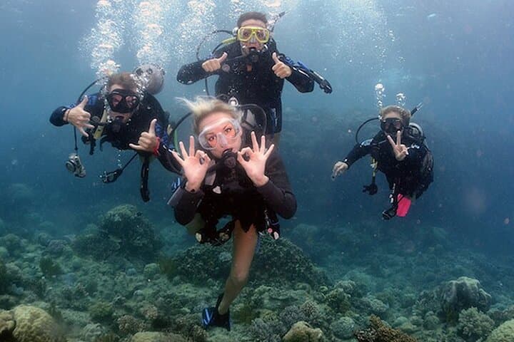 Learn to Dive: 4-Day PADI Open Water Course Off Jumeirah Beach
