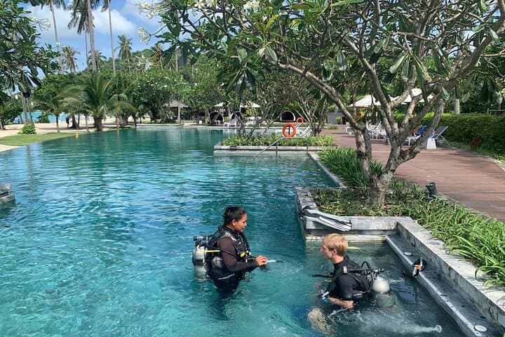 Phi Phi Discover Scuba: Private Half-Day Intro Dive on Tropical Reefs photo 2