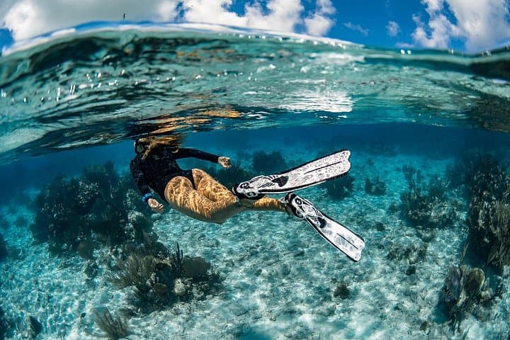24-Hour Snorkel Rental in Radazul: Explore Tenerife's Underwater World photo 2