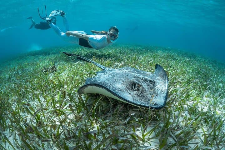 24-Hour Snorkel Rental in Radazul: Explore Tenerife's Underwater World photo 3
