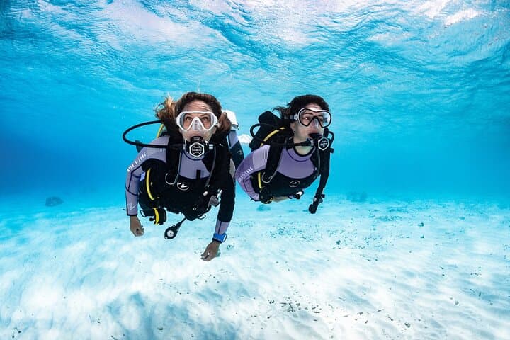 Try Dive in Tenerife: PADI Discover Scuba Diving Experience photo 2