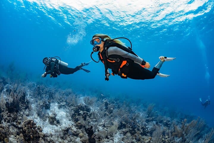 Try Dive in Tenerife: PADI Discover Scuba Diving Experience photo 4