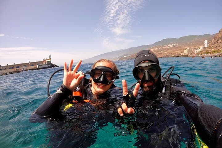 Try Dive in Tenerife: PADI Discover Scuba Diving Experience photo 3