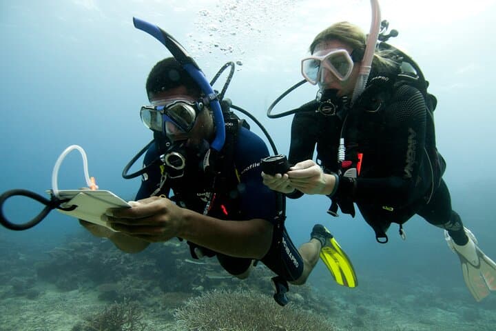 Learn to Dive: 4-Day PADI Open Water Course Off Jumeirah Beach photo 4