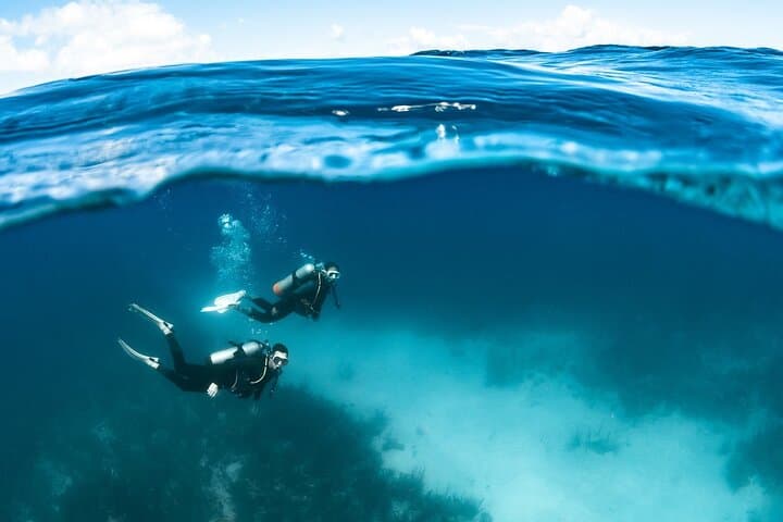 Guided Scuba Diving in Tenerife: Top Radazul Dive Sites for Certified Divers photo 2
