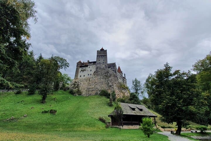From Rescued Bears to Dracula: Day Tour to Bran Castle & Libearty Bear Sanctuary photo 3
