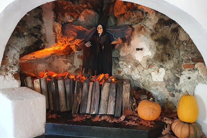 From Rescued Bears to Dracula: Day Tour to Bran Castle & Libearty Bear Sanctuary photo 5