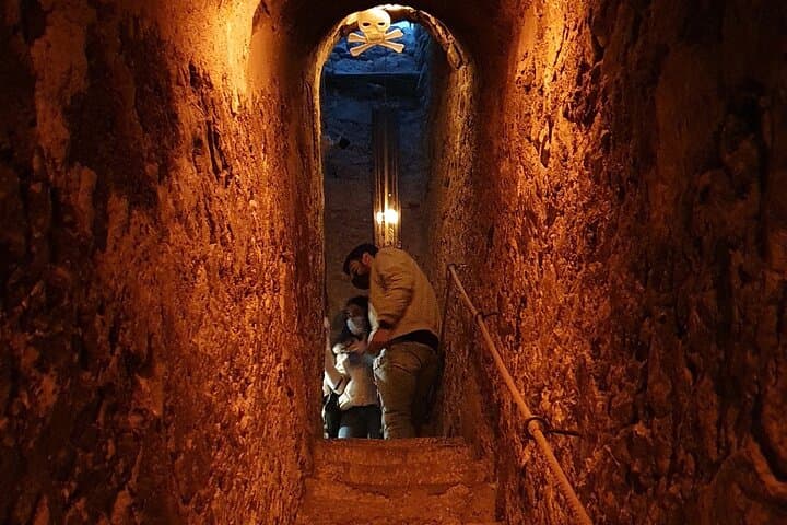 From Rescued Bears to Dracula: Day Tour to Bran Castle & Libearty Bear Sanctuary photo 6
