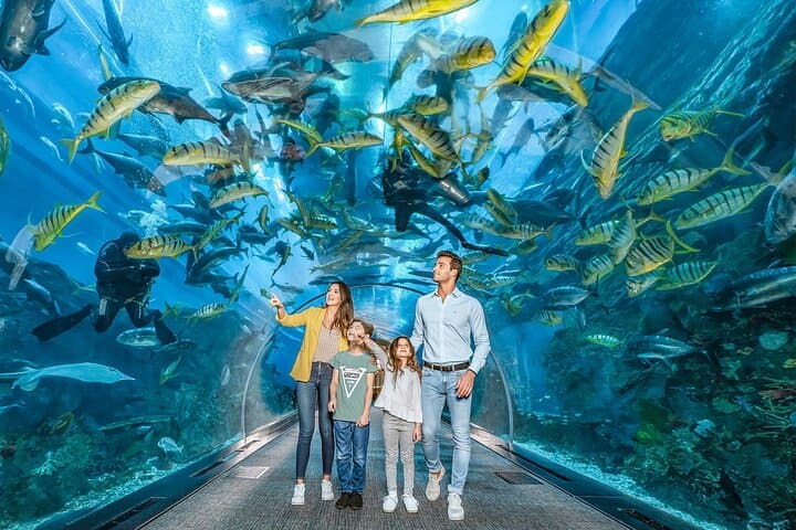 Dubai Mall Aquarium & Underwater Zoo — Skip-the-Line Tickets with Private Transfer