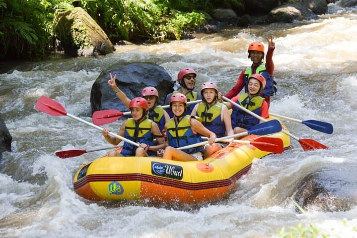 Ayung River White-Water Rafting from Ubud — Private Small-Group Adventure photo 2