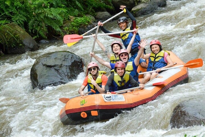 Ayung River White-Water Rafting from Ubud — Private Small-Group Adventure photo 6