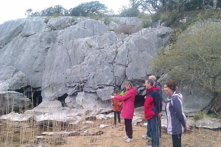 Explore Killarney National Park: A Guided 2-Hour Walking Adventure photo 4