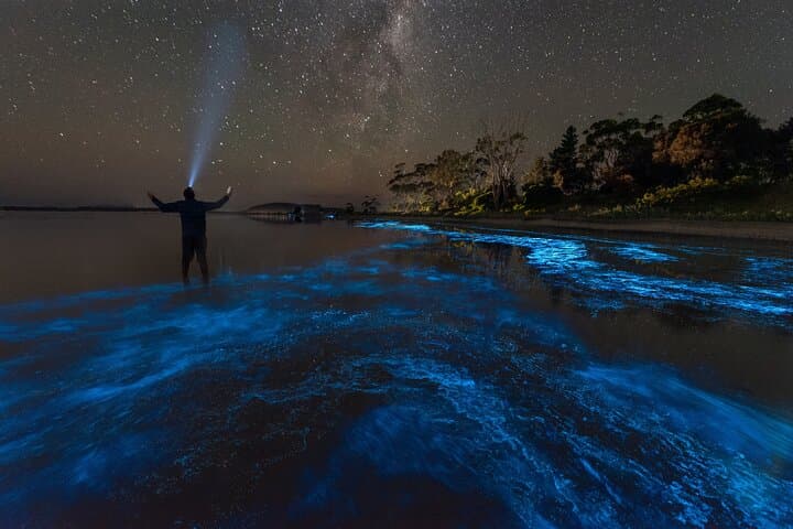Indian River Lagoon Bioluminescent Kayak & SUP Tour from Cocoa Beach